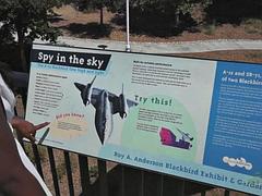 素人, 美女, 黒人, 黒人, 足, 彼女, ハメ撮り, 一人