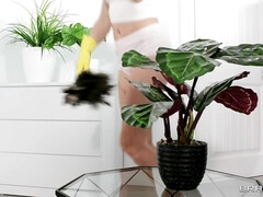 Минет, Лизание, Служанка, Киски, Наездница, Бритые