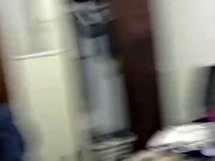 Amateur, Morena, Corridas