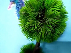 Hot Malayalam Couple Sex Story - Indian Wife Fingered & Fucked Hard in Kitchen