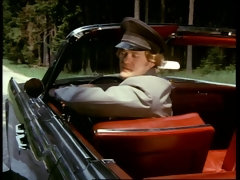 Tussi, Blasen, Spermaladung, Süss, Gruppe, Behaart, Titten, Vintage