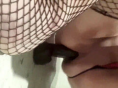 アナル, シーメール