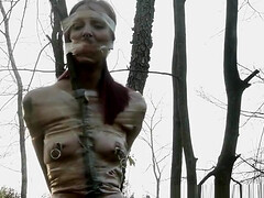 Futile Struggles - Tree Taped