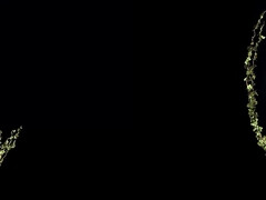 Braunhaarige, Schwanz, Hardcore, Hd, Zierlich, Pov, Titten