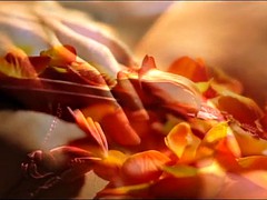 オナニー, 淫乱熟女, 妻