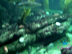 Любители, Анальный секс, Блондинки, Минет, Пальцем, Дрочка ногами, Подружка, Бритые