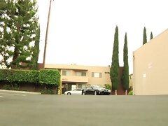 Grote mammen, Pijpbeurt, Bruinharig, Sperma shot, Hardcore, Hd, Moeder die ik wil neuken, Pornster