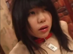 Fétiche, Hard, Japonaise, Nénés