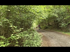 Красивые, Грудастые, Подружка, Хд, Натуральные сиськи, На природе, Колготки, Киски