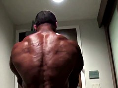 JOSE + HIS SHINY BLUE POSERS