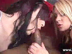 素人, アナル, イギリス人, 下着, シーメール, 三人