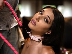 Doggystyle xxx with winning Aria Sloane from Pure Taboo