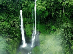 Amateur, Sucer une bite, Tir de sperme, Hard, Pov