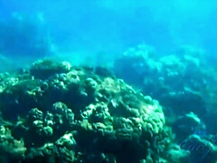 Enthousiasteling, Bruinharig, Auto, Hd, Geschoren, Tatoeage, Tieten likken