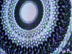 Club Love Episode 2 - Alice Klay & Amalia Davis