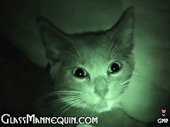 Amateur, Tir de sperme, Adolescente