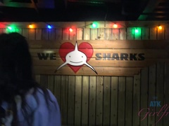 Enthousiasteling, Bruinharig, Handbeurt, Doordringend, Kut duiken, Mager, Strippen, Tieten likken