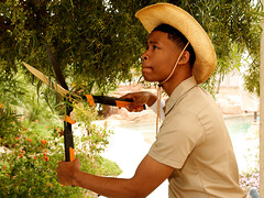 Culo grande, Rubia, Interracial