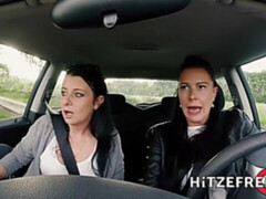 Grote kont, Pijpbeurt, Bruinharig, Hondjeshouding, Handbeurt, Geschoren, Schoenen, Tatoeage