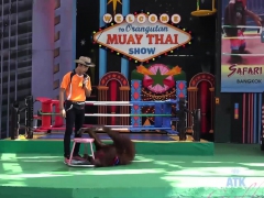 Leie, Schwarz, Blasen, Schwarz, Aufs gesicht abspritzen, Hardcore, Hd, Pov