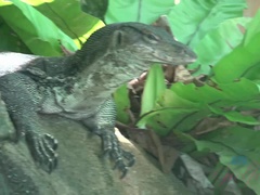 Amateur, Salle de bains, Sucer une bite, Brunette brune, Petite amie, De plein air, Pov, Public