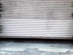 Большие сиськи, Минет, Грудастые, Межрасовый секс, Натуральные сиськи, Сиськи