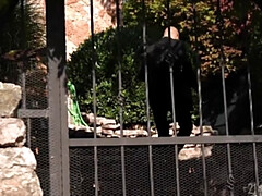 Anal, Gros seins, Brunette brune, Faciale, Hd, Mère que j'aimerais baiser