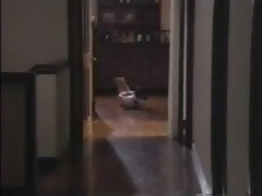 Любители, Азиатки, Садо мазо, Большие сиськи, Брюнетки, Фетиш, Японки