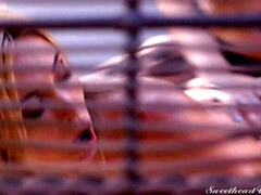 お尻, 舐める尻, 黒人, ドレス, オマンコ, ストッキング, タトゥー, オッパイの