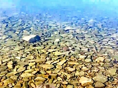 Leie, Strand, Blasen, Hundestellung, Selbstgemacht, Im freien, Pov, Muschi