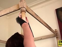 Sadomasochismus, Grosse titten, Braunhaarige, Geile alte tussi, Kehlenfick, Fetisch, Milf