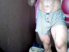 Europeo, Peludo, Músculo