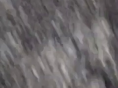 Любители, Черные, Колледж, Черненькие, Групповуха, От первого лица, Сиськи