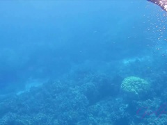 Bikini, Blondine, Füsse, Fussjob, Freundin, Pov, Muschi, Rasiert